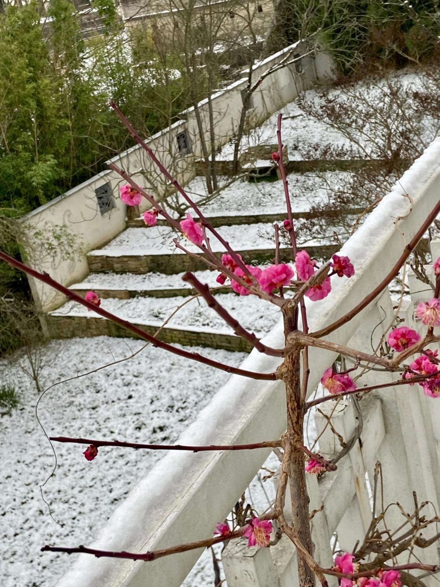 Ananda Huo Accommodatie bij particulieren